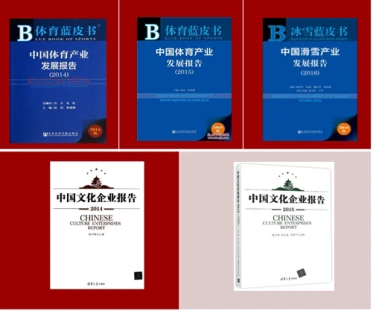 季末赛期间的视频分析与反馈机制_0